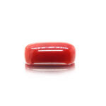 Red Coral (Moonga) 6.64 Carat (7.30 Ratti)
