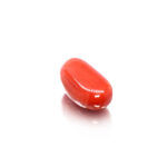 Red Coral (Moonga) 4.93 Carat (5.42 Ratti) - Image 3