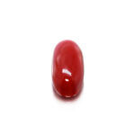 Red Coral ( Italian Moonga) 5.29 Carat (5.82 Ratti) - Image 2