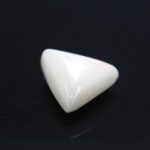 Natural White Coral 6.79 Carat (7.47 Ratti) - Image 3