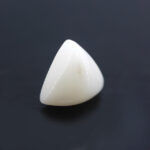 Natural White Coral 7.20 Carat (7.92 Ratti) - Image 3