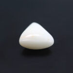 Natural White Coral 7.63 Carat (8.39 Ratti) - Image 4