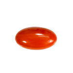 Natural Japanese Coral 9.82 Carat (10.80 Ratti) Moonga - Image 4