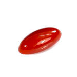 Natural Japanese Coral 5.15 Carat (5.67 Ratti) Moonga - Image 5