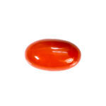 Natural Japanese Coral 29.70 Carat (32.67 Ratti) Moonga