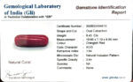Red Coral (Moonga) 8.43 Carat (9.27 Ratti) - Image 8
