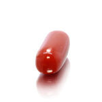 Red Coral (Moonga) 8.43 Carat (9.27 Ratti) - Image 5