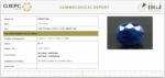 Blue Sapphire 8.96 Carat (9.86 Ratti) - Image 2