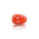 GACL197