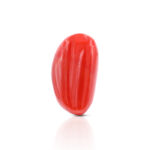 CL217
