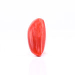 CL228