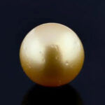 Golden South Sea Pearl (Moti) 11.05 Carat (12.16 Ratti)