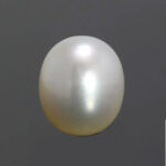 South Sea Pearl (Moti) 7.80Carat (8.58 Ratti)