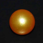 Golden South Sea Pearl (Moti) 7.89 Carat (8.67 Ratti)