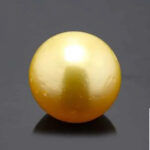 Golden South Sea Pearl (Moti) 7.94 Carat (8.73 Ratti)