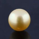 Golden South Sea Pearl (Moti) 11.36 Carat (12.50 Ratti)