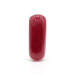 Red Coral 7.43 Carat (Moonga 8.17 Ratti)