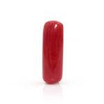 Red Coral 7.75 Carat (Moonga 8.53 Ratti)