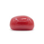 Red Coral 2.64 Carat (Moonga 2.90 Ratti) - Image 3
