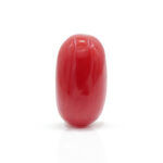 Red Coral 2.75 Carat (Moonga 3.03 Ratti)