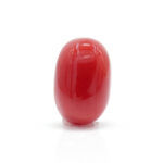 Red Coral 2.91 Carat (Moonga 3.20 Ratti)