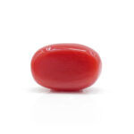 Red Coral 2.91 Carat (Moonga 3.20 Ratti) - Image 3