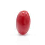 Red Coral 2.05 Carat (Moonga 2.26 Ratti)