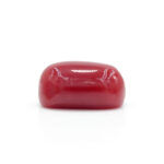 Red Coral 2.74 Carat (Moonga 3.01 Ratti) - Image 4