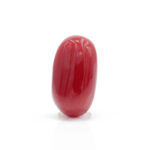 Red Coral 2.59 Carat (Moonga 2.85 Ratti)