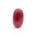 Red Coral 2.39 Carat (Moonga 2.63 Ratti)