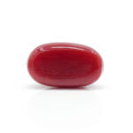 Red Coral 2.39 Carat (Moonga 2.63 Ratti) - Image 3