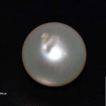 South Sea Pearl (Moti) 6.89 Carat (7.57 Ratti)