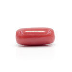 Red Coral 7.66 Carat (Moonga 8.43 Ratti) - Image 4