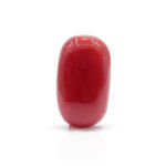 Red Coral 7.48 Carat (Moonga 8.23 Ratti)