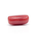 Red Coral 7.48 Carat (Moonga 8.23 Ratti) - Image 4
