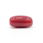 Red Coral 7.02 Carat (Moonga 7.72 Ratti) - Image 4