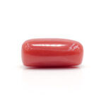 Red Coral 11.82 Carat (Moonga 13.00 Ratti - Image 4