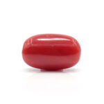 Red Coral 7.81 Carat (Moonga 8.59 Ratti) - Image 3
