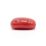 Red Coral 7.49 Carat (Moonga 8.24 Ratti) - Image 4