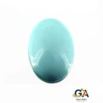 Turquoise (Firoza) 26.95 Carat (29.94 Ratti)