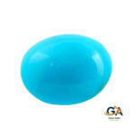 Turquoise (Firoza) 8.93 Carat (9.82 Ratti)