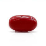 Red Coral 5.02 Carat (Moonga 5.52 Ratti) - Image 3