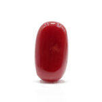 Red Coral 5.73 Carat (Moonga 6.30 Ratti) - Image 3