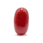 Red Coral 5.50 Carat (Moonga 6.05 Ratti)