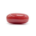 Red Coral 5.50 Carat (Moonga 6.05 Ratti) - Image 4