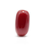 Red Coral 6.21 Carat (Moonga 6.83 Ratti)