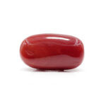 Red Coral 6.21 Carat (Moonga 6.83 Ratti) - Image 3