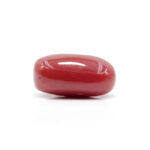 Red Coral 5.78 Carat (Moonga 6.36 Ratti) - Image 4