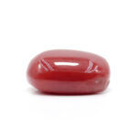 Red Coral 5.56 Carat (Moonga 6.12 Ratti) - Image 4