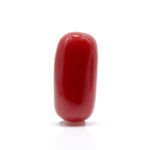 Red Coral 6.95 Carat (Moonga 7.65 Ratti)